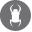 [Geocoin Icon]